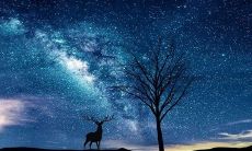 以友情为题材的古代诗歌——探析乐府诗中关于友谊的表达方式和形式特点