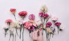 无拘无束的友情句子，让我们自由任性地感受彼此的陪伴