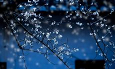 不停下雨已使我感到十分厌烦的表达方式