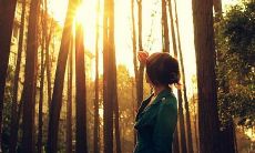 第四期：汇集正能量的句子，让你在生活中感受前行的能量与动力！