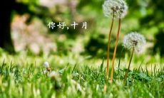 拥抱十月、更好地照顾自己:让我们共同探讨如何在这个月中更好地诉说我们的心声、思考自我成长与寻求内在平衡的话语和表达方式