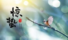 揭秘惊蛰节气,分享惊蛰祝福语,呈现精选惊蛰篇章,收录经典惊蛰发朋友圈句子,让你的网络世界更加温馨愉快!