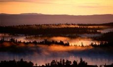 撑满你的肚子！超级搞笑的短笑话大合集！