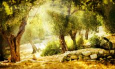 掩不住内心疲惫的表情:一组带有强烈情感的短语和图片