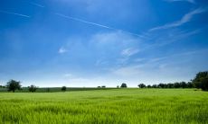 通过家庭中的互动与情感交流，深刻感受到亲情的内涵和重要性的句子