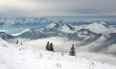 当大雪纷飞时，需要的文案创意与运用策略