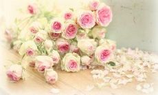 31句话，鼓励你为自己的经济独立努力奋斗