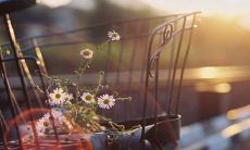 探寻激发回忆的情感之源:关于童年友情的深刻句子