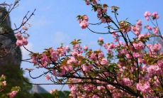 在气温转凉的春天,发给朋友的问候短信