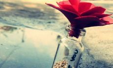 探寻唯美的发朋友圈早安句子,让你的朋友圈更具温暖与诗意