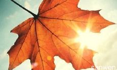 利用短信向客户发出秋季问候,提升业务信誉、弘扬企业形象的有效策略