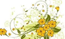 通过短信友好问候,分享有关养生的知识和建议