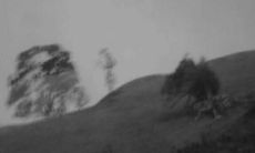 感情的失落：表达内心失望和沮丧的句子