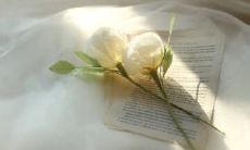 哪些高级文案适合用在朋友圈上发表?