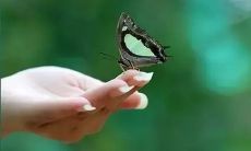 2022年随笔分享：生活感悟经典句子，每句皆走心！