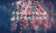 引人泪目的句子，触动内心深处的文艺短语