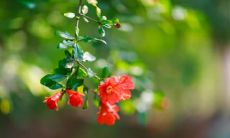 酒精作用下的言语，对友谊表达的损害程度有多大？