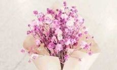 留恋离别，用心怀念：感人的有关友情的句子