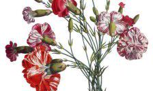 有缘相遇，共同完成任务的友情句子