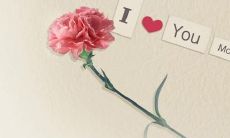 我作为母亲的第一个母亲节感受和体验分享