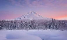 二十四节气中的第十九个——大雪的美丽图片和意境丰富的诗句