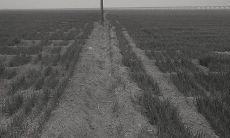 表达对某人失望的中长型标题：当我最需要你的时候，你却让我失望了：对某人失望的心情诉说