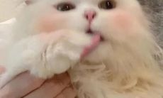 但深情而有力的祝福语，能够最大程度地感动人心