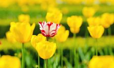 27句感叹在外受委屈，向家呼唤的说说