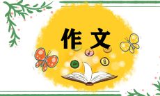 小学生创意点燃冰雪梦:2022年北京冬奥会主题作文大赛冠军作品集