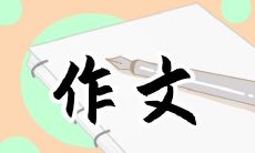 一篇难忘的600字优秀作文：我所见、我所知、我所感 - 记2022年北京冬奥会