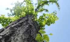 2022年举办的冬季奥林匹克运动会,值得在朋友圈上分享的一些短句子