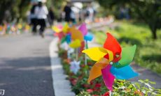 为2022年冬奥会加油打气!这里有80句励志口号和鼓舞人心的话语,让我们共同挑战极限、追求卓越!