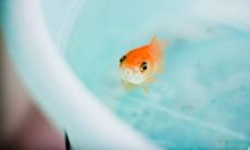 几乎让我崩溃的语句:让人心碎的句子