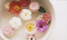 「每天都要保持这个心态：不要让自己的现状限制未来，努力工作赚钱，迎接更美好的明天！」