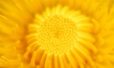 2023兔年开工祝福语大集合：值得收藏的吉祥话全汇总！