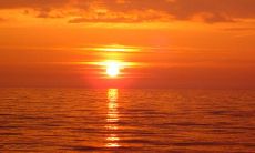 2023年兔年开工第一天，全球各地庆祝新年生机勃勃迎来希望，人们祈盼着兔年象征的好运与福气能够带来更多平安和繁荣！