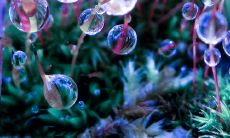 年新学期开学朋友圈祝福分享:迎接新生活,共同成长、探索,开创未来!