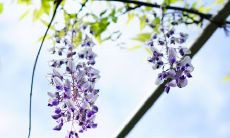 精选2022开学经典句子,激励人心引领未来,助您迈向成功之路!