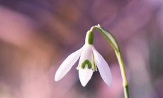 描述充满无私之爱的美妙句子，赞美深沉的亲情情感