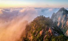 寒冬季节能够温暖人心的美丽而唯美的短语和句子