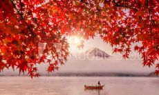 温馨唯美的立秋短句,让你在朋友圈分享秋天的美好和感悟