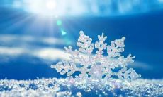 今天是冬至，送上深情的节日祝福，愿你温馨快乐，幸福安康！