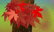 在秋季持续阴雨带来的异常寒意下,我们不得不面对一场令人心寒的秋雨