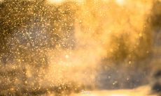 上苍灵魂的忧伤之声：赞美心痛的美丽句子