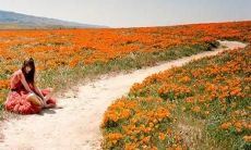 看到令人失望的话语，如何面对心痛？