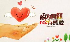 一些用于表达感恩节感激之情的英文句子