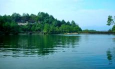 静如水，沉淀心灵：表达平和与宁静的句子