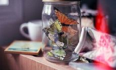 26句励志座右铭摘录，适合学生手抄报的全集