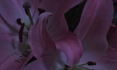 分享,让TA在这个寒冷的季节里感受温暖与爱意