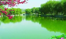 以赞美男女之间纯真友情的句子为题